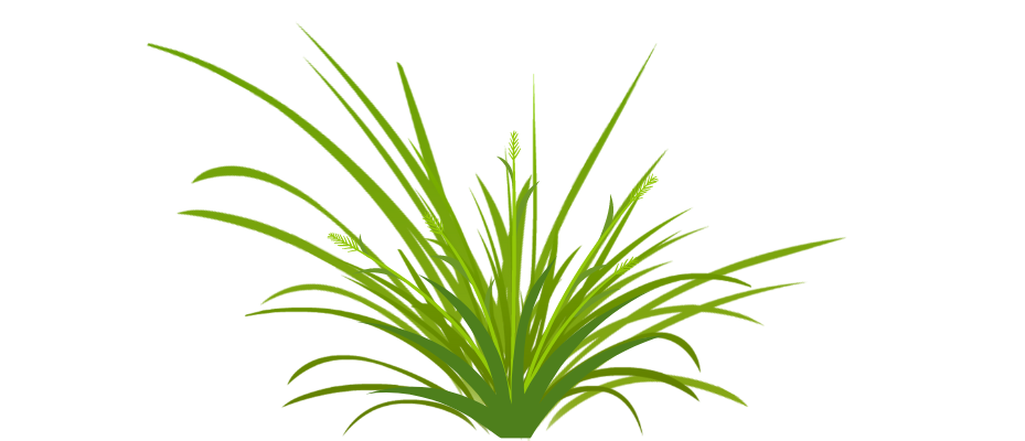 gras- Scharreltuine.nl